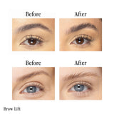 3 Steps to Beautiful Brows