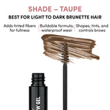 Color & Control: Tinted Brow Gel