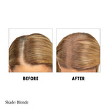 Bump It Up: Root & Brow Touch Up